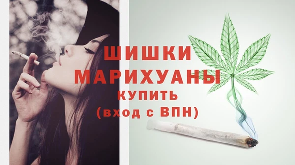 амф Богородск