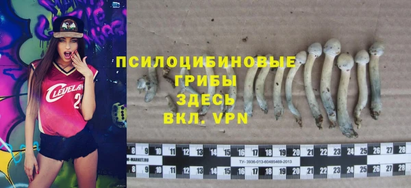 кокаин премиум Богородицк