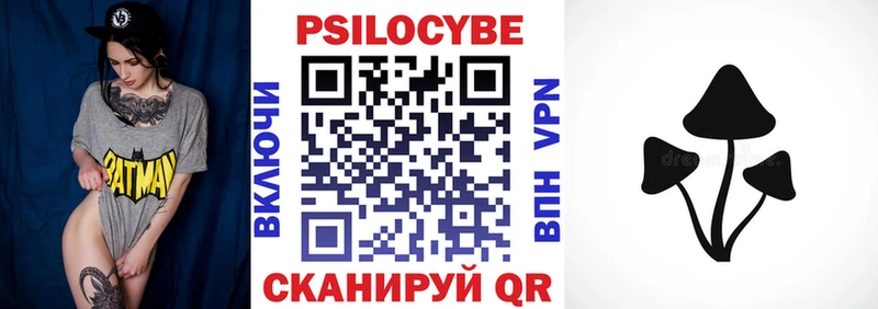 Псилоцибиновые грибы Psilocybe  Купить  Каргополь 
