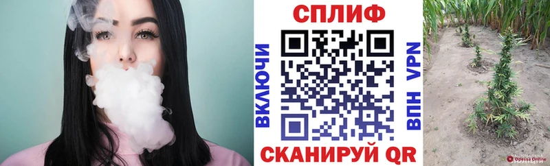 Купить  Каргополь  Канабис AK-47 